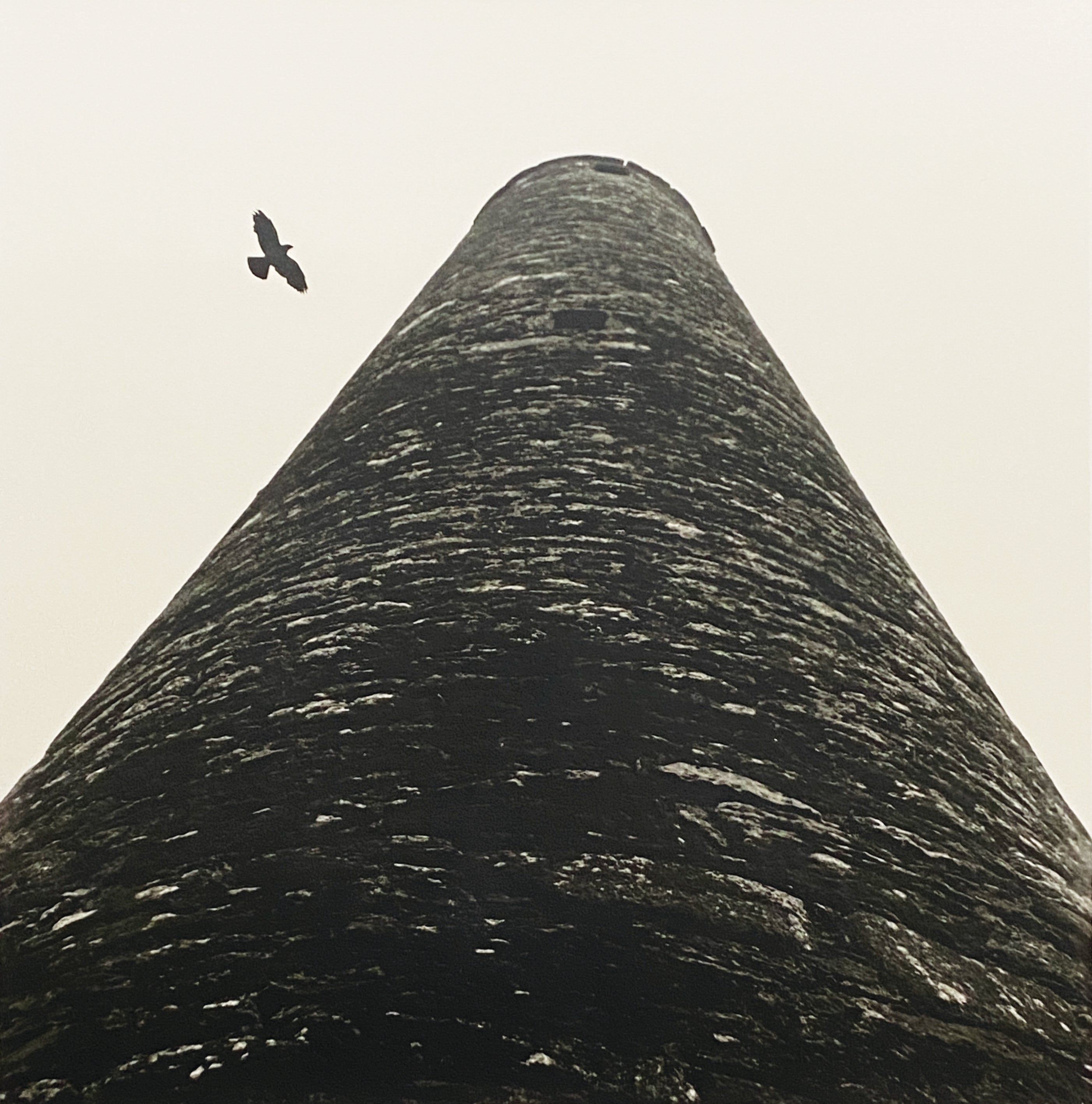 Ancient stone tower with bird circling