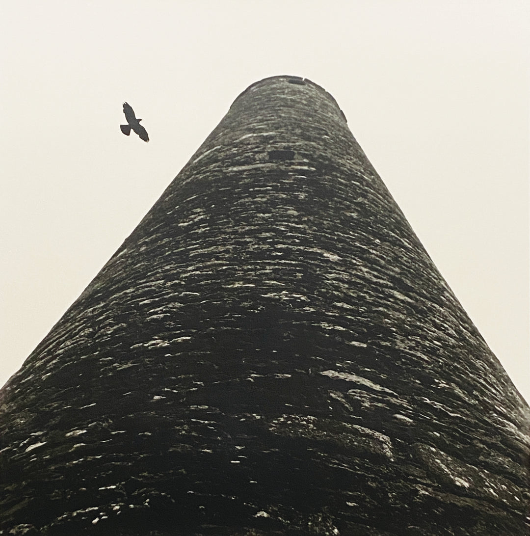 An ancient stone tower in Ireland is seen loming up from the base. A bird circles around the tower.
