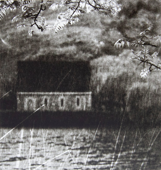 The Marshes
