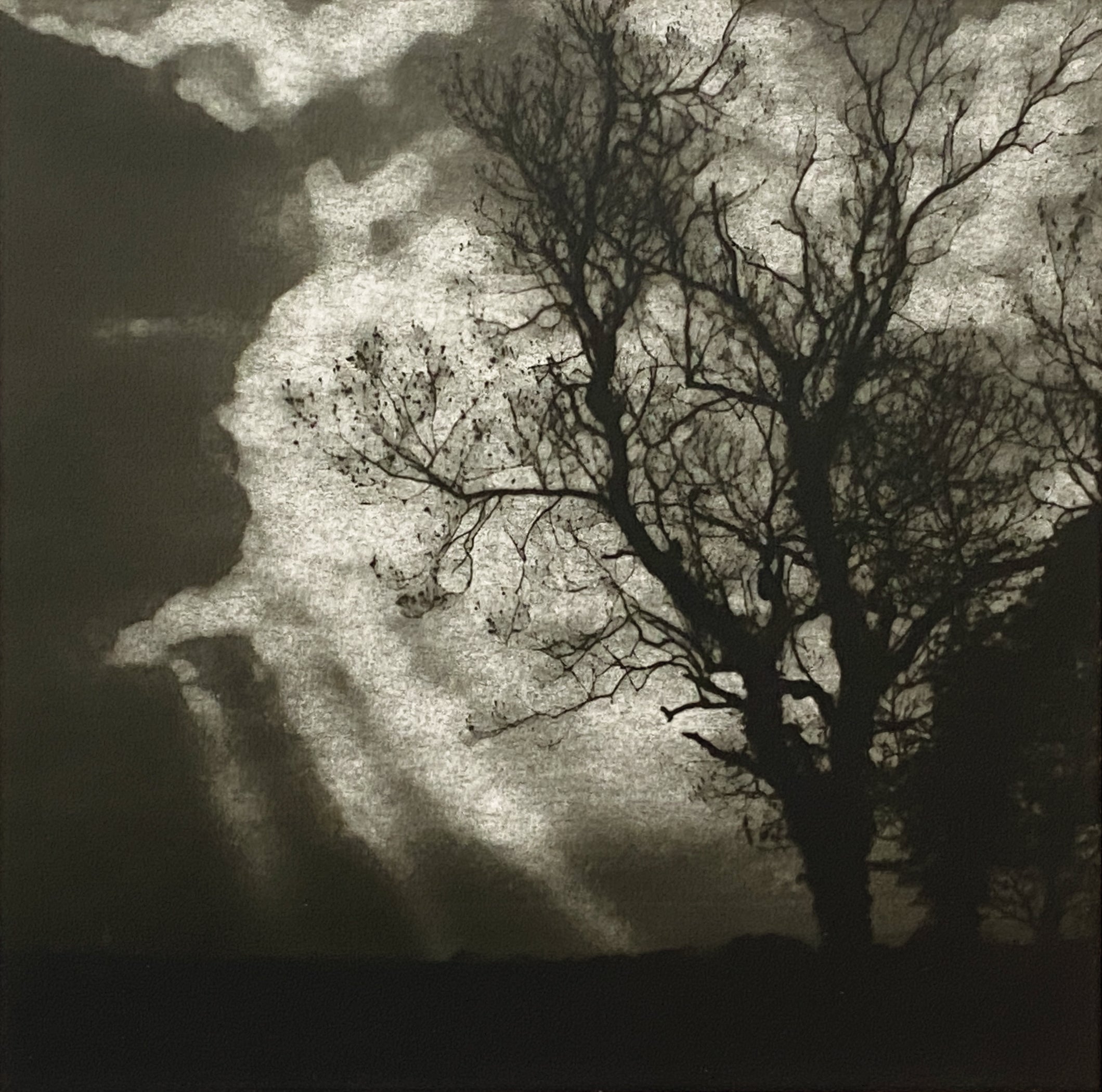 Sunlight pierces clouds through the trees. A silver gelatin photograph from a paper negative adds texture and elevates contrast and light.