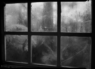 Fogland