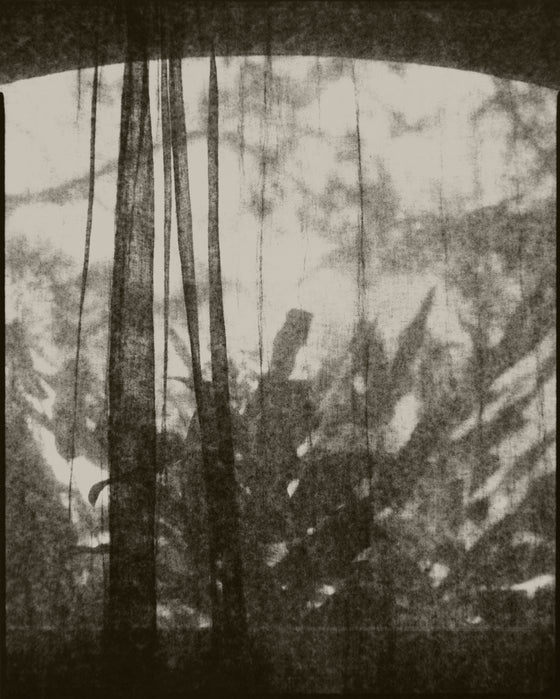 Veil